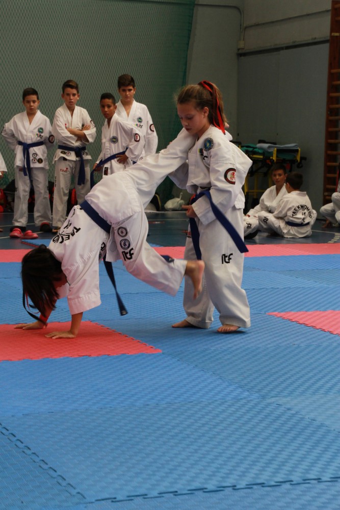 III Copa Seúl (89).jpg